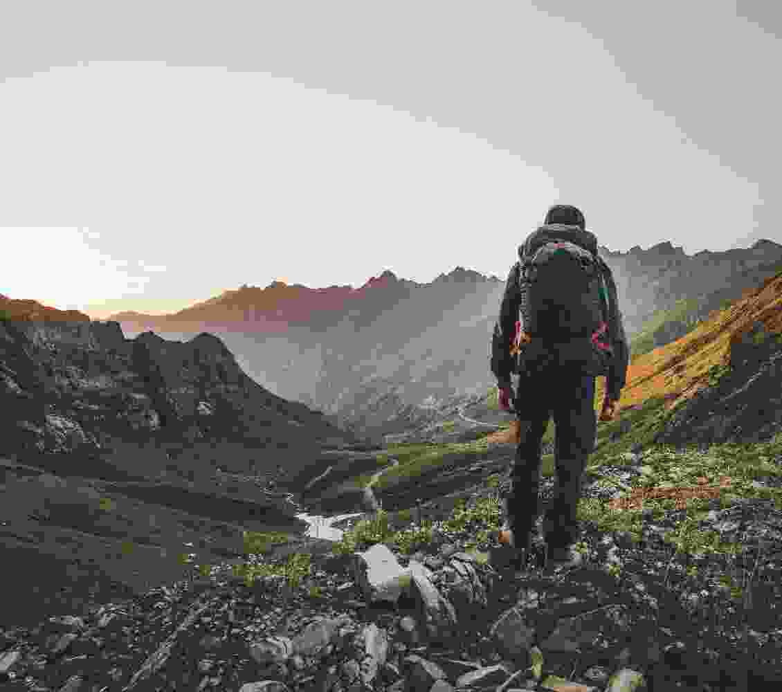 Listing Taxonomy Image