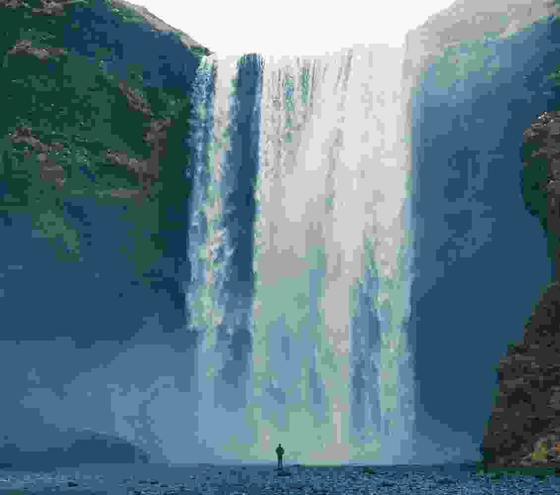 Listing Taxonomy Image