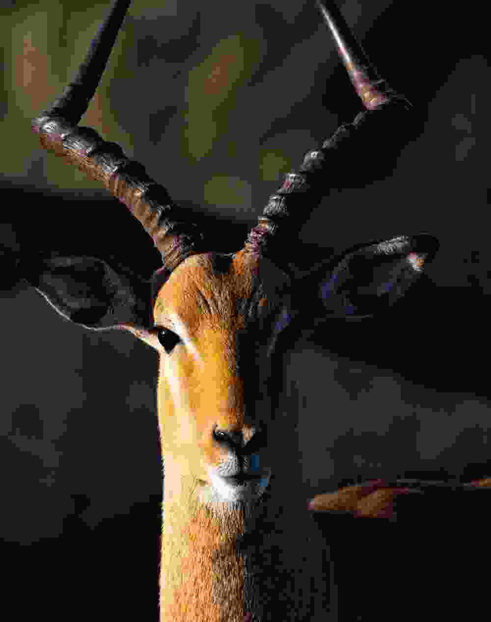 Featured Image Featured Image